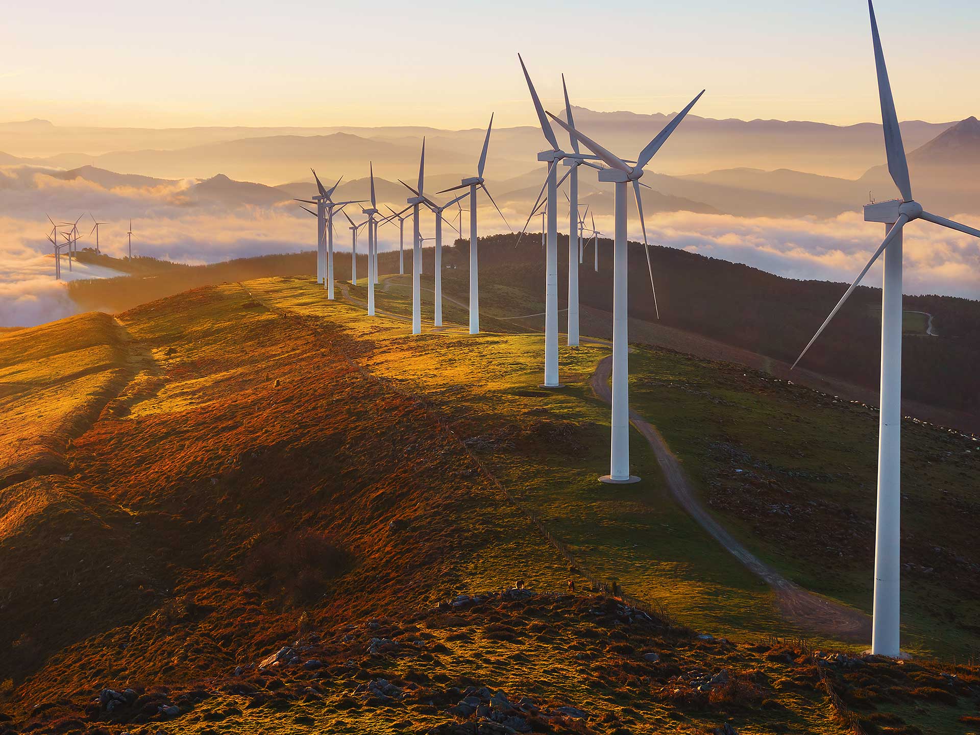 aof-energy-renewables
