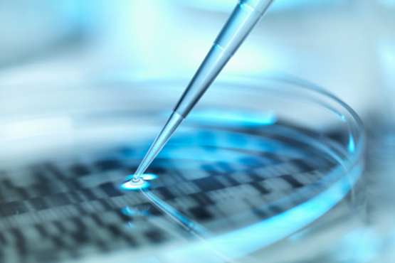 launch Series Biotech