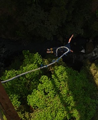 Castillo bungee jumping off a bridge in Costa Rica